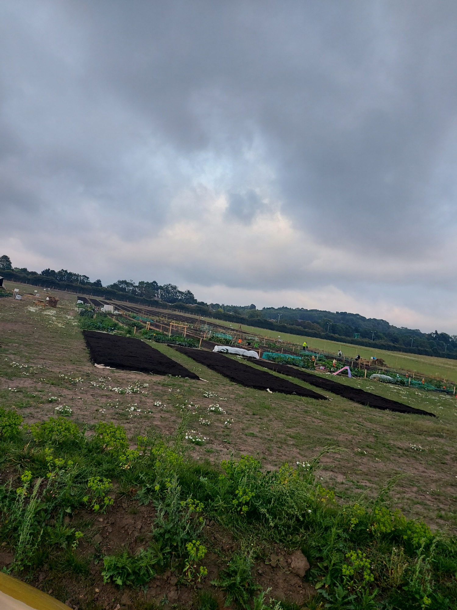 Fields with dark soil plots under a cloudy sky.