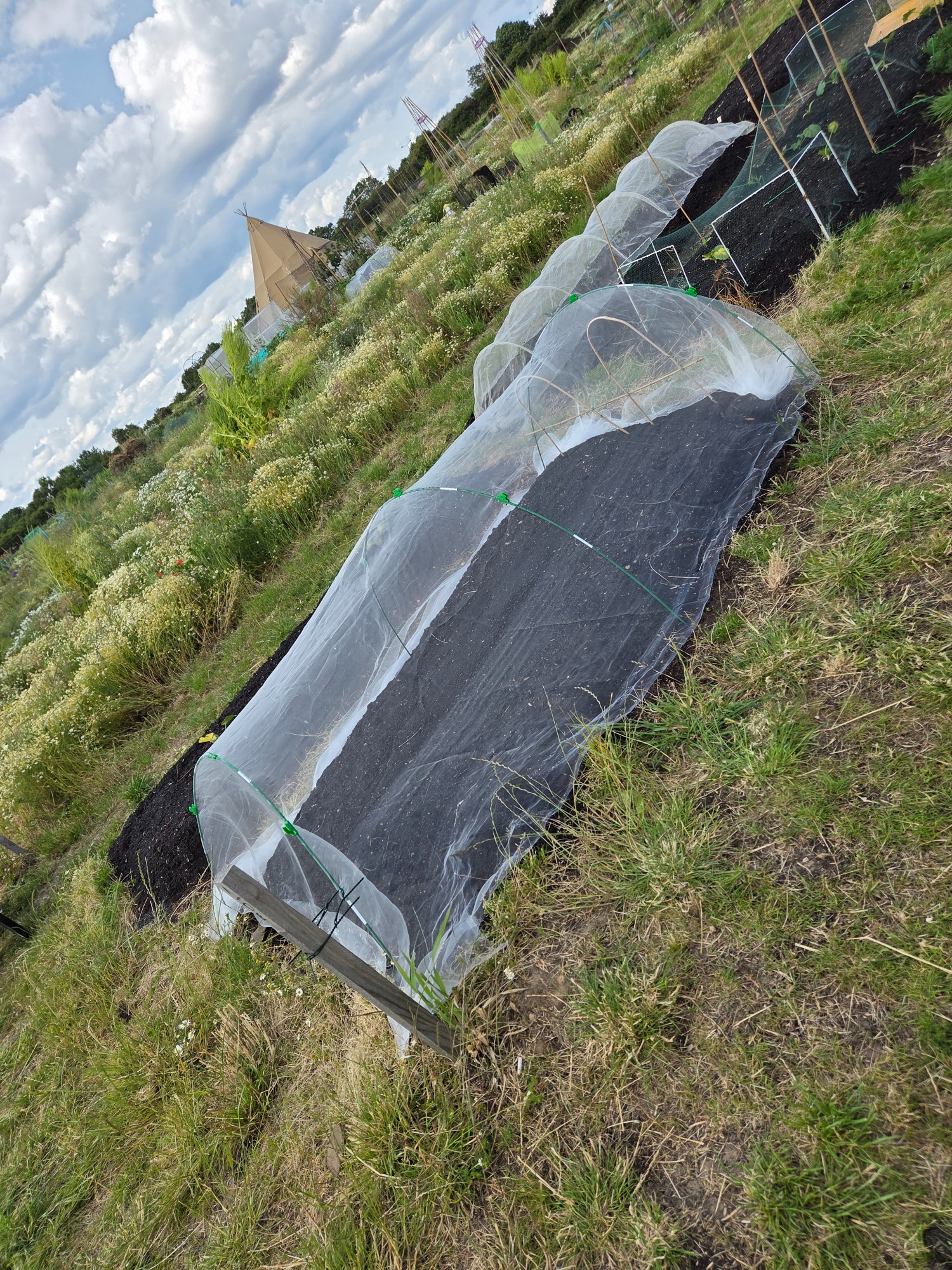 Raised garden bed covered with netting, surrounded by grassy landscape under a cloudy sky.