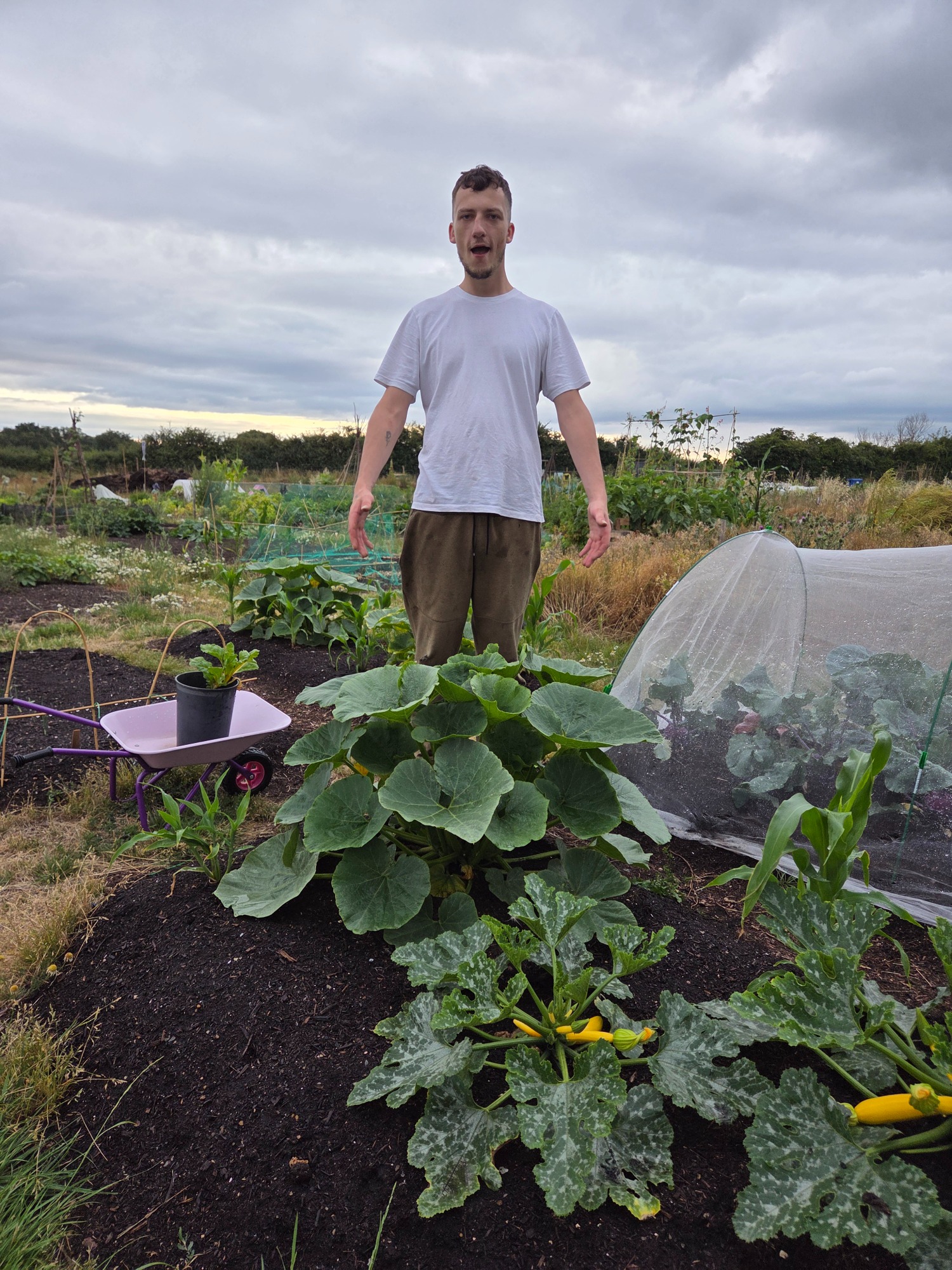 Person standing among large plants in a garden with overcast skies in the background.