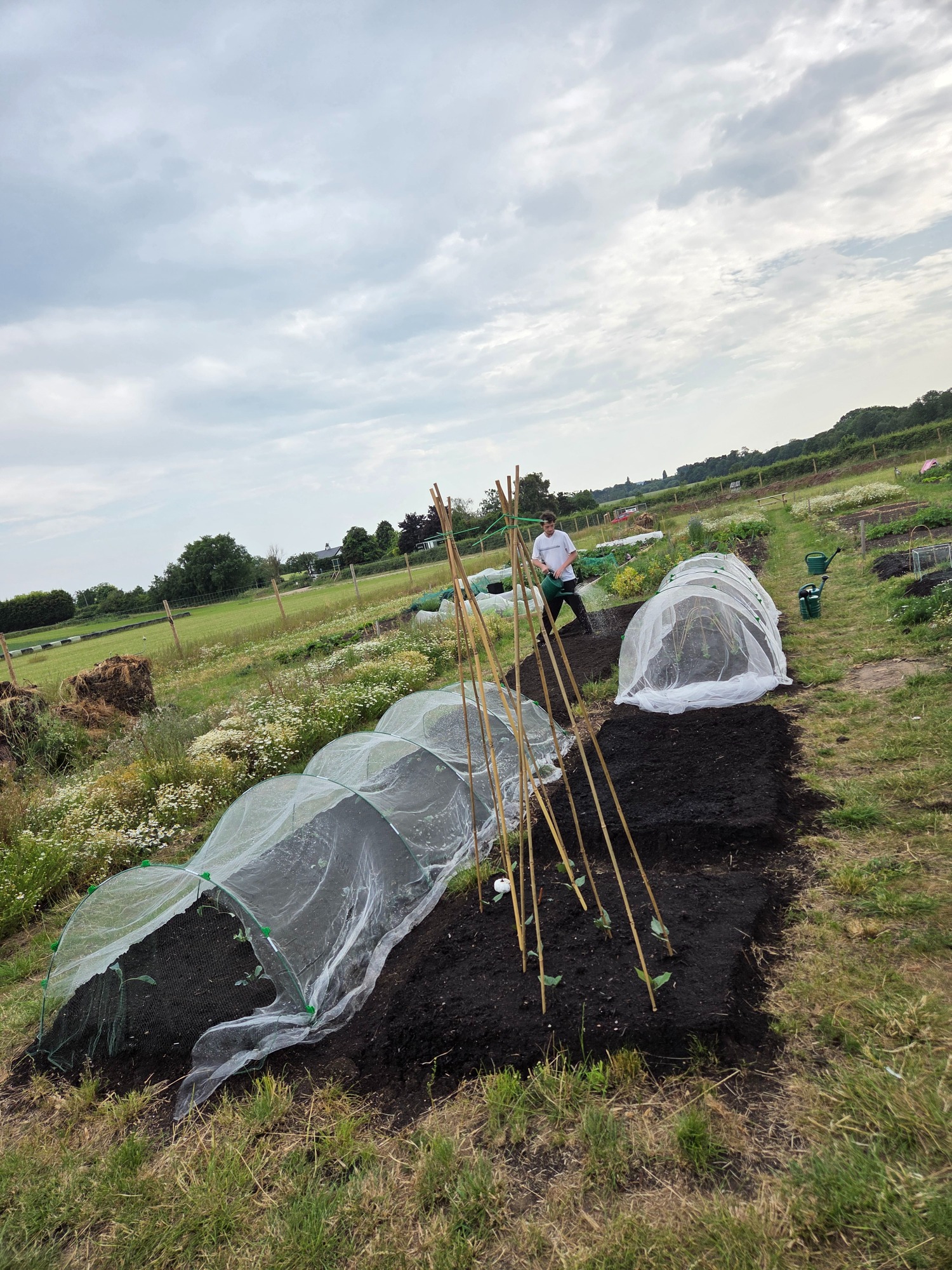 Vegetable garden plots with protective nets and a gardener tending to plants.