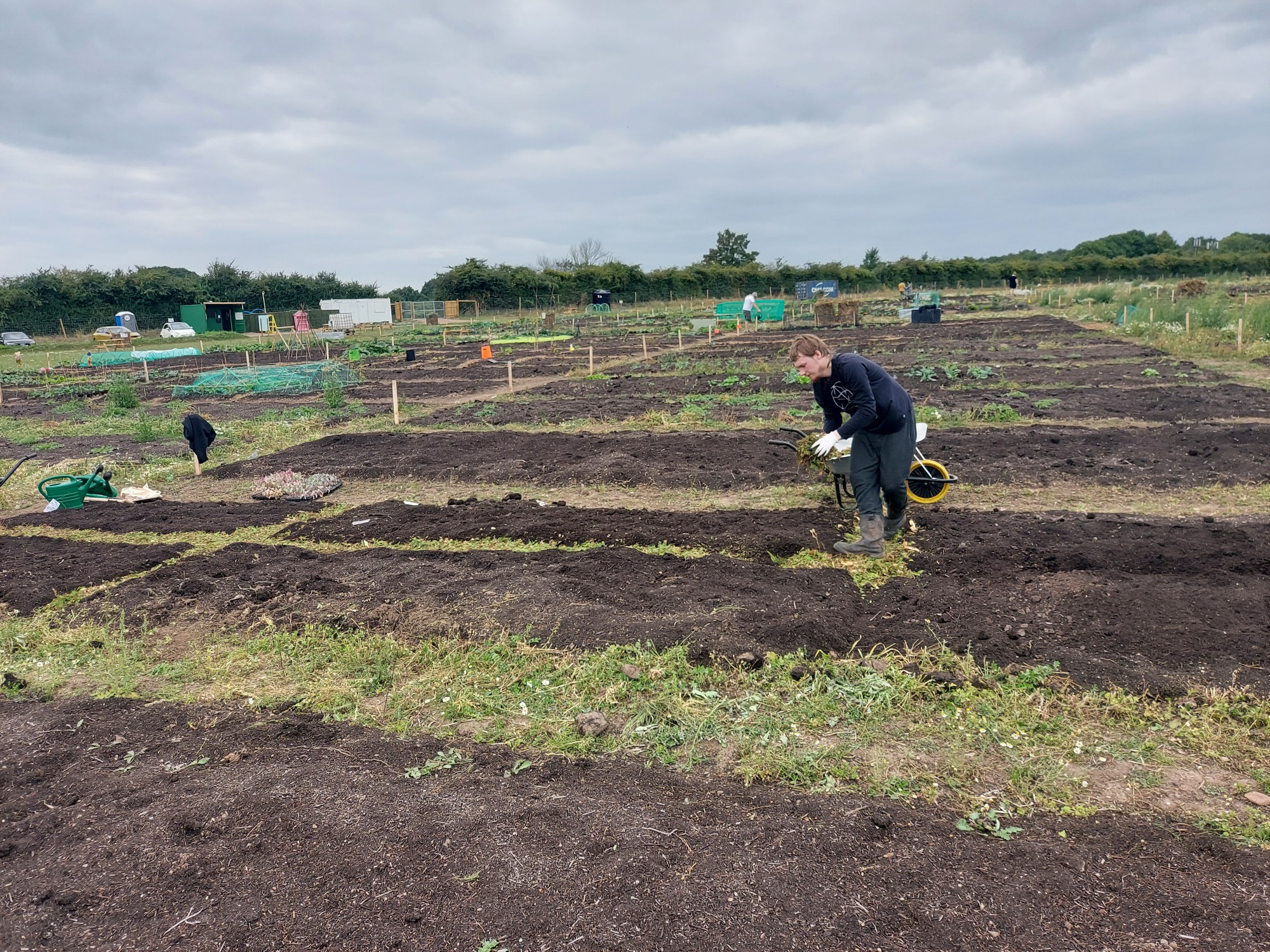 Person tending to a field, cultivating soil in an agricultural setting.