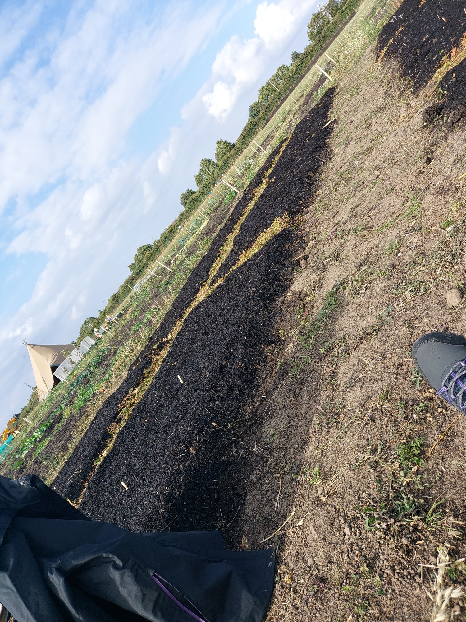 Ground with blackened soil and patches of green vegetation under a cloudy sky.