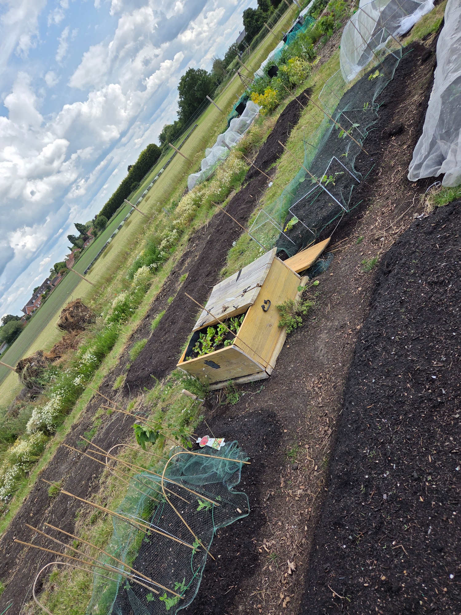 Vegetable garden with seedlings under protective nets and raised beds in a rural setting.