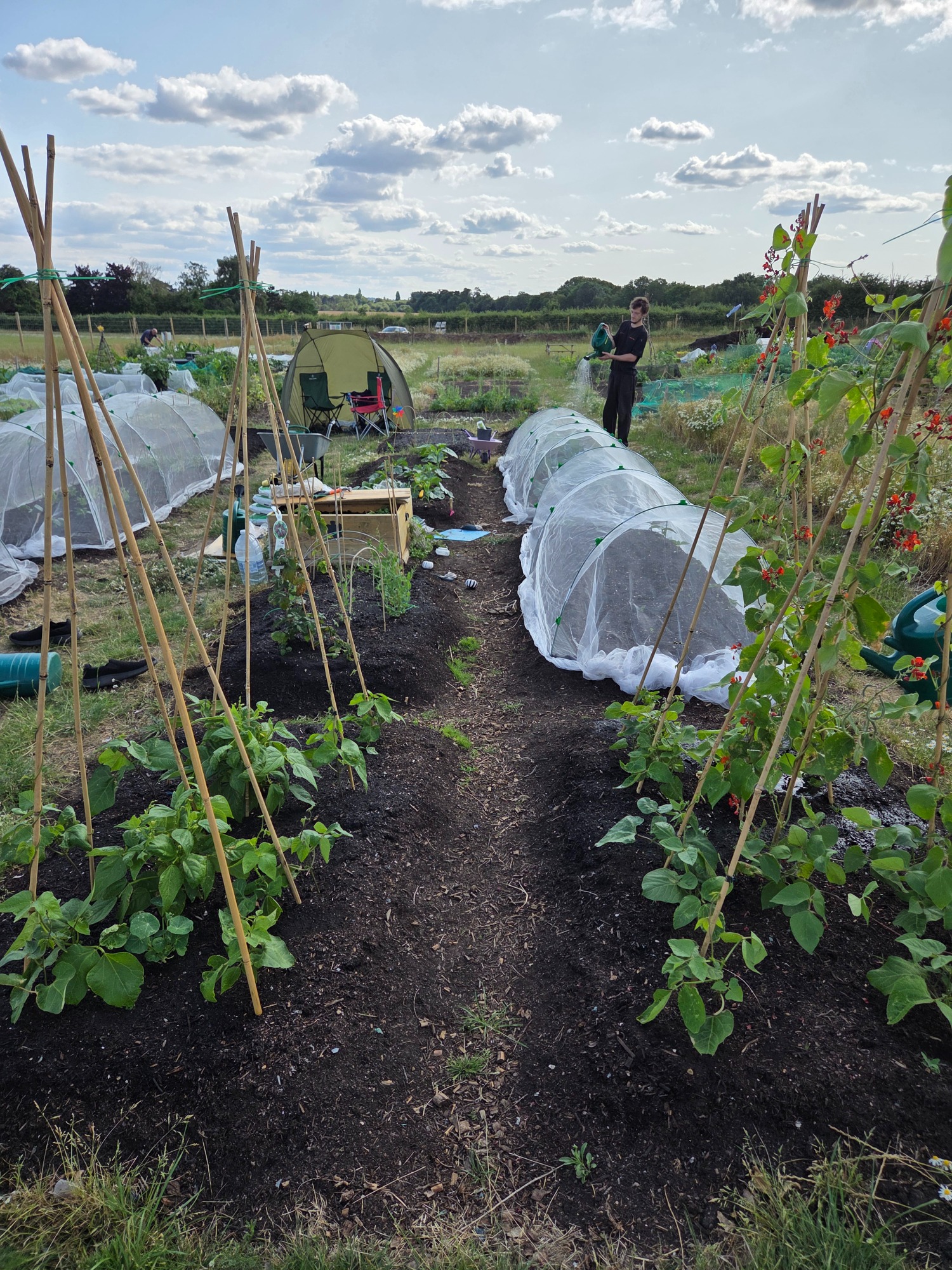 Vegetable garden with row covers and trellises, surrounded by greenery and a person tending plants.