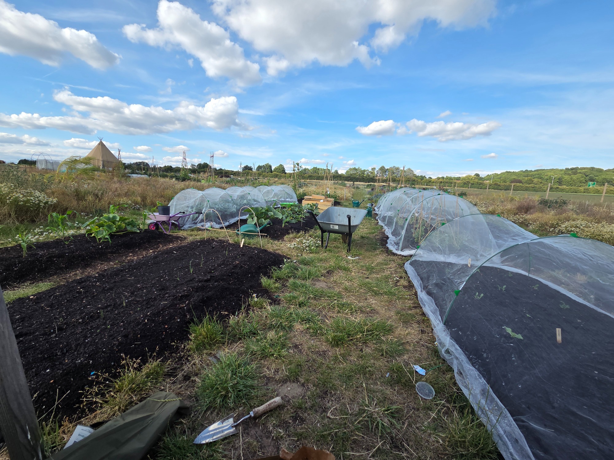 Vegetable plots with netting under a blue sky, surrounded by green land and clouds.