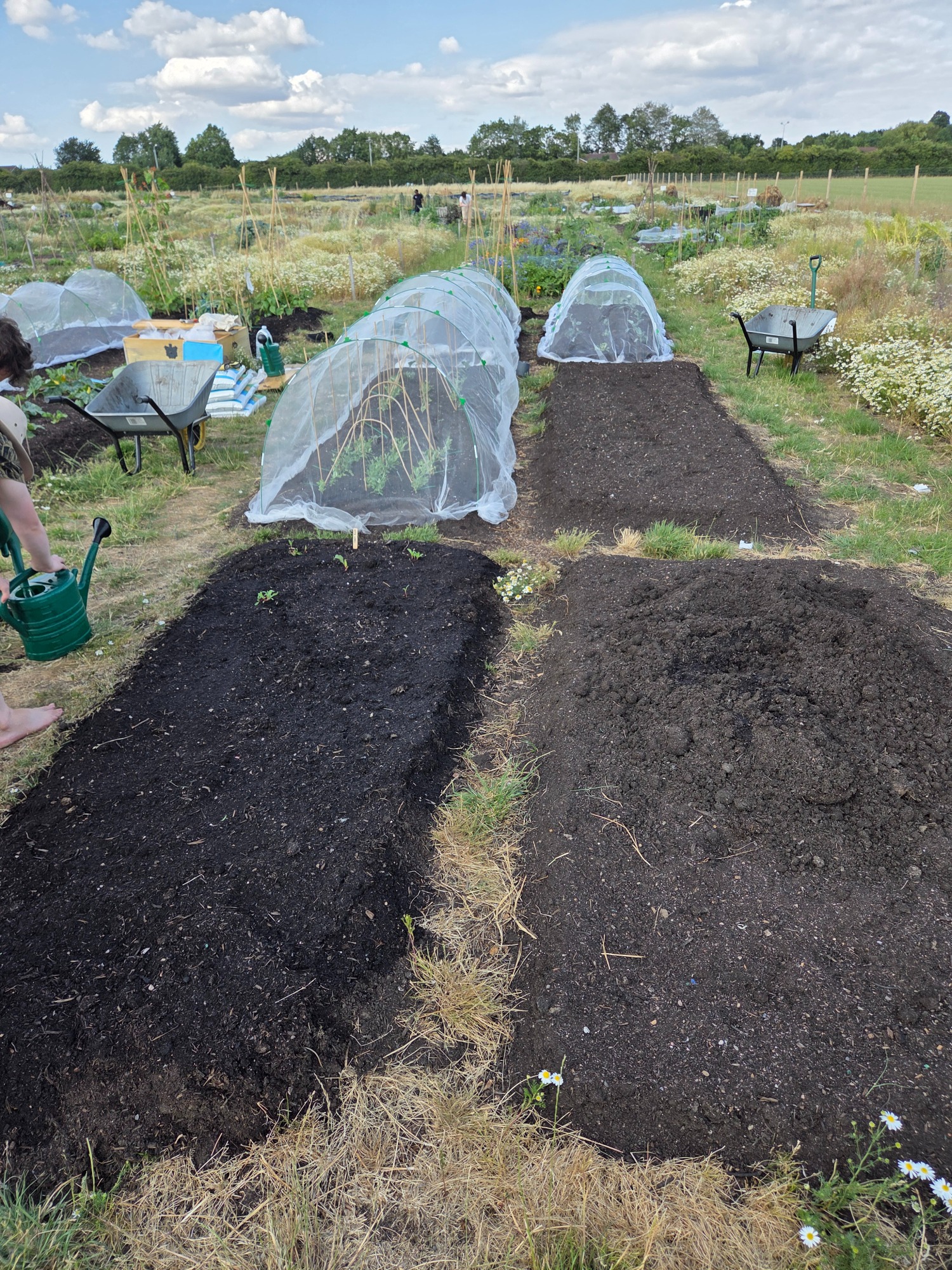 Two garden plots with dark soil and mesh covers, surrounded by grass and greenery.