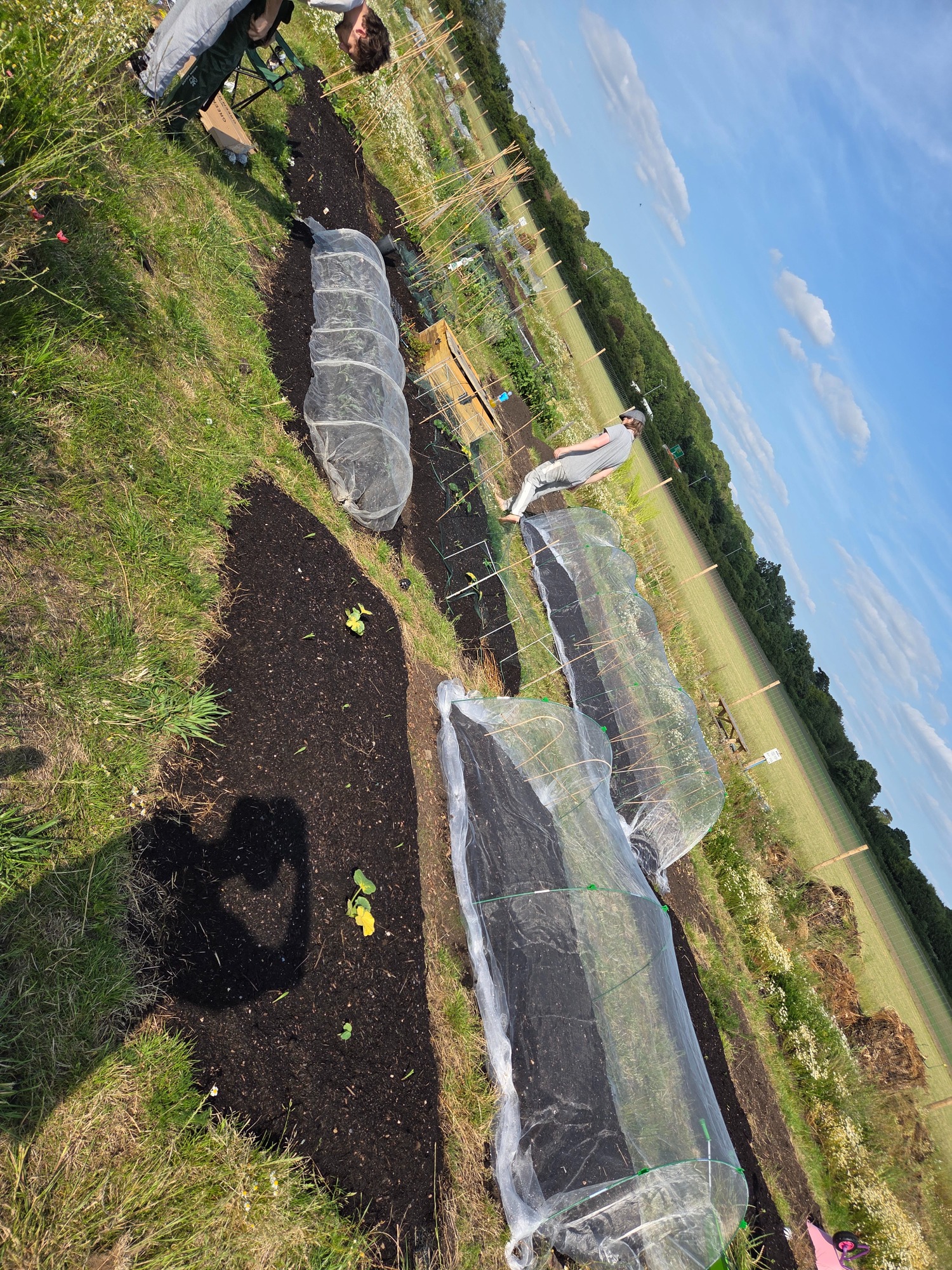 Vegetable garden beds covered with protective netting, set in a grassy field.