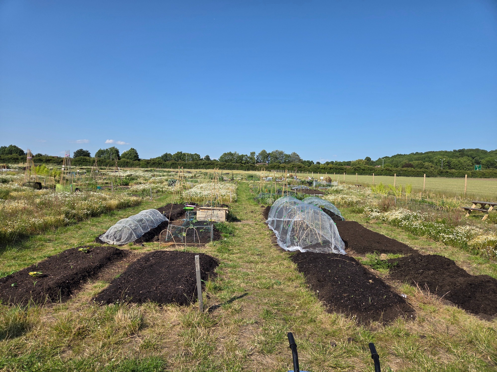 Gardens with soil beds and protective covers under a clear blue sky.