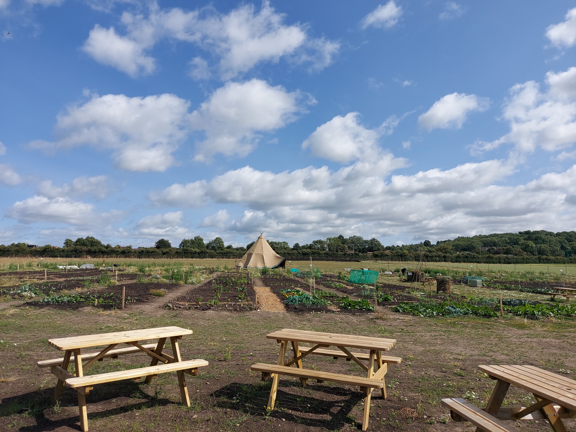 A sunny garden landscape with rows of crops, a teepee, and picnic tables.