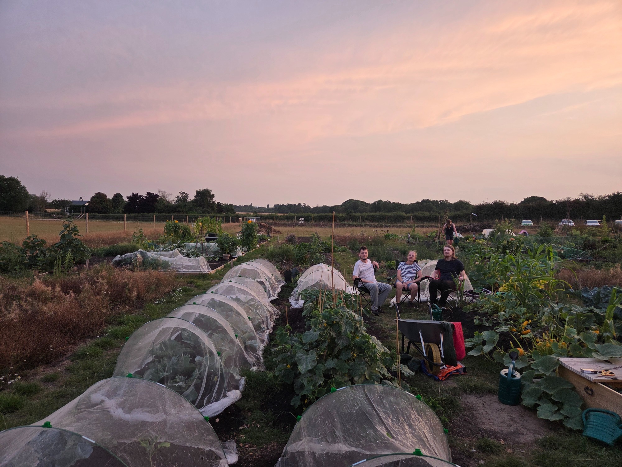 Sunset over a community garden with people tending to plants and covered beds.