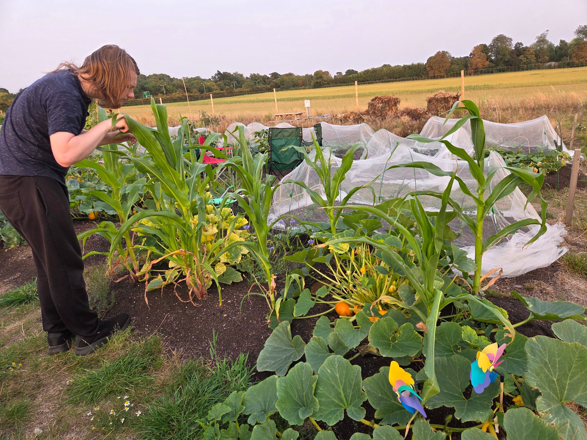 Person examining plants in a vegetable garden with various crops and colourful decorations.