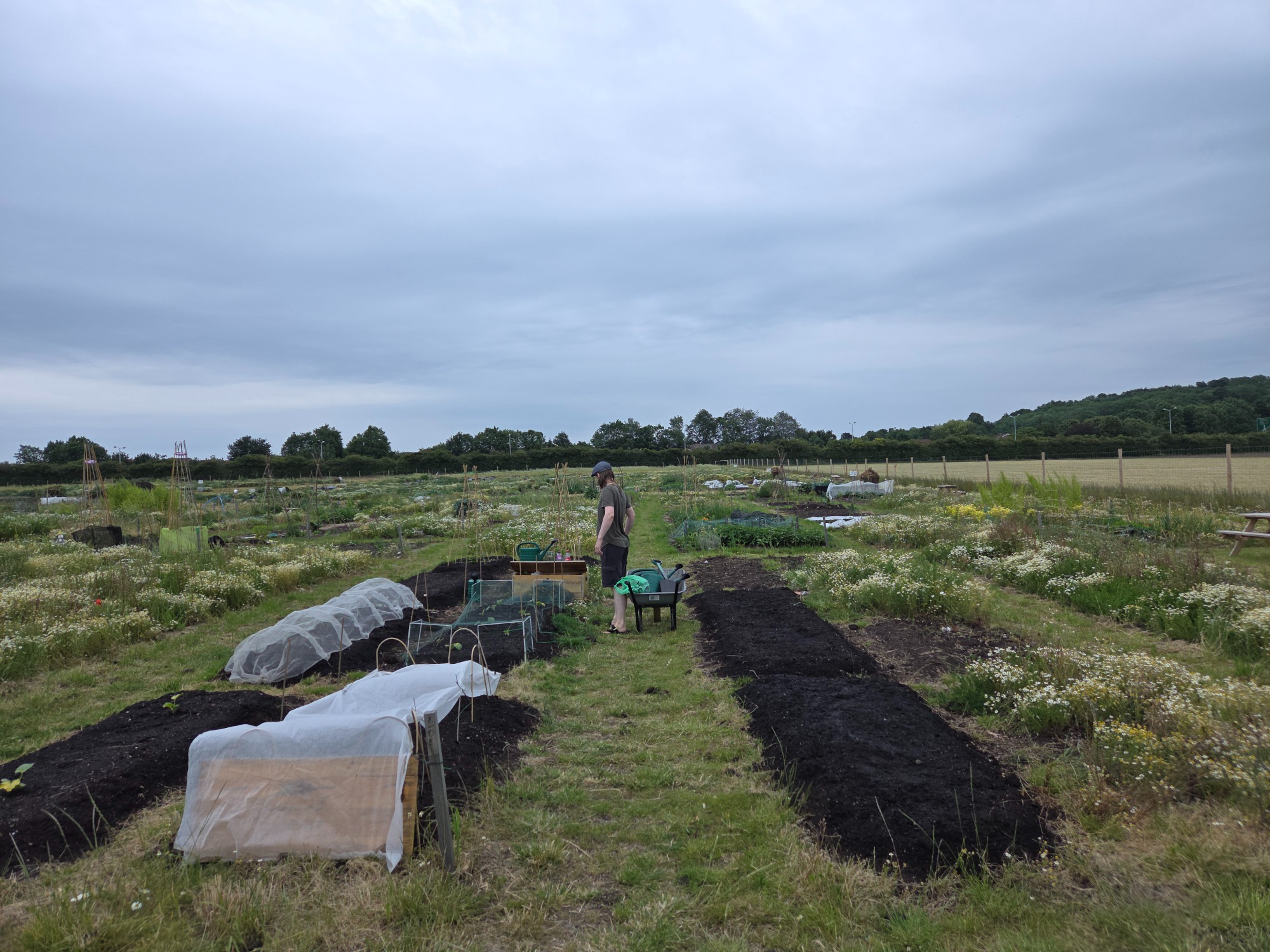 A person tending to garden plots in a rural field under a cloudy sky.