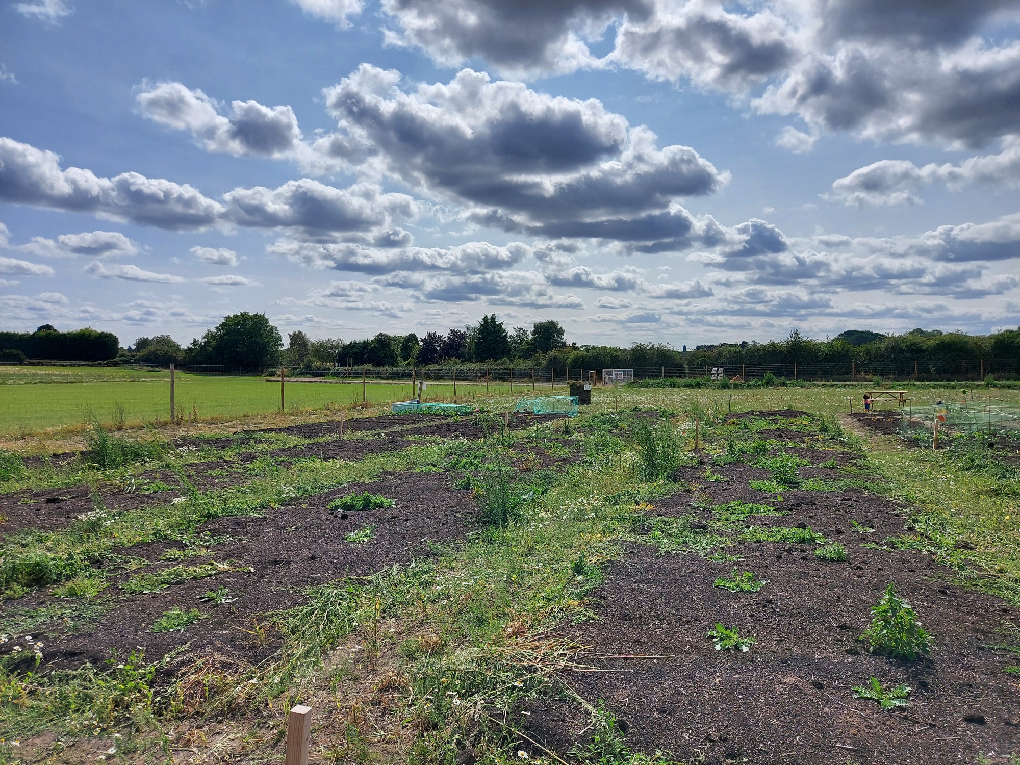 Lush green field under a cloudy sky, with patches of cultivated ground visible.