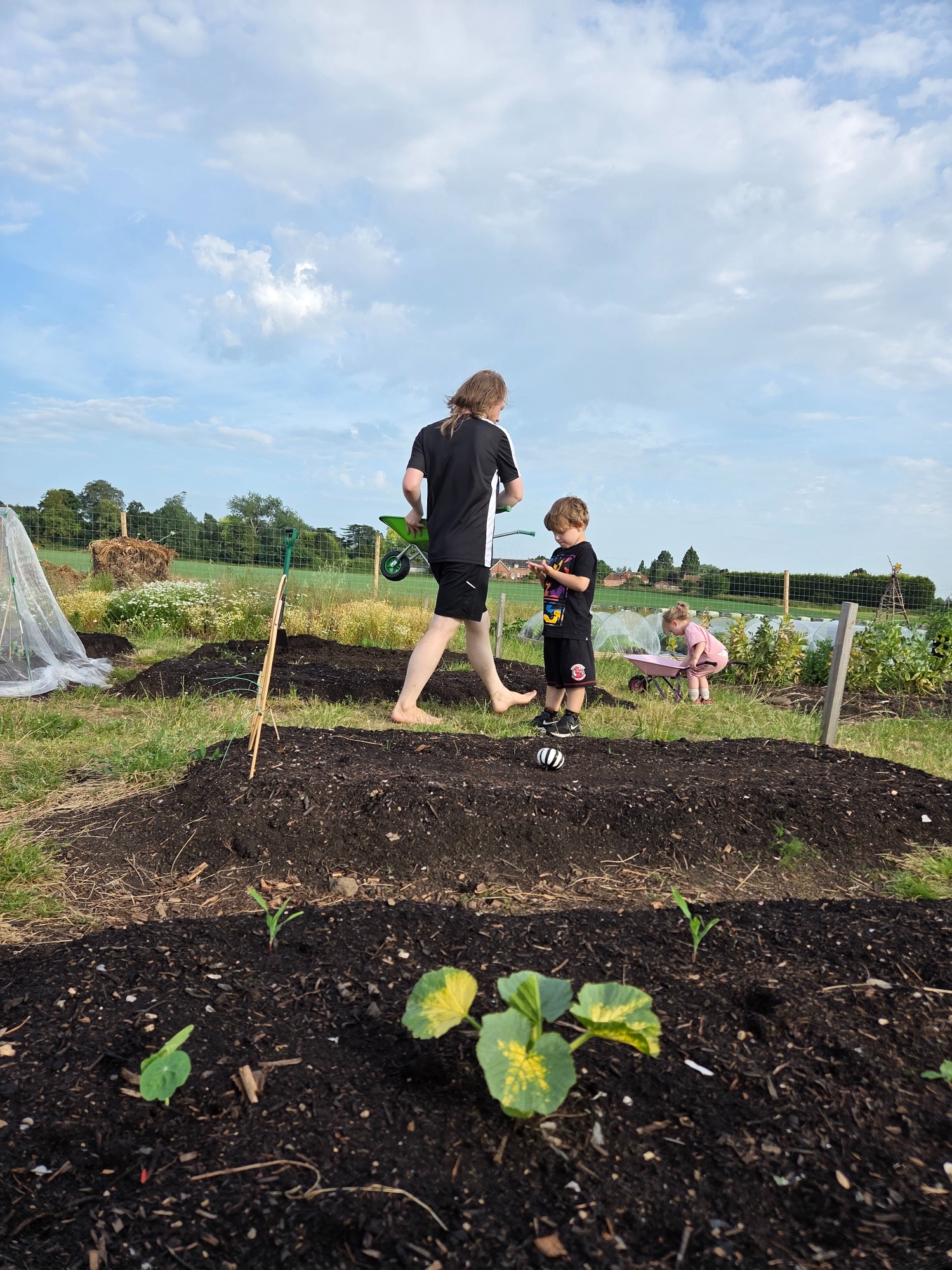 Two people tending to a garden with young plants under a blue sky.