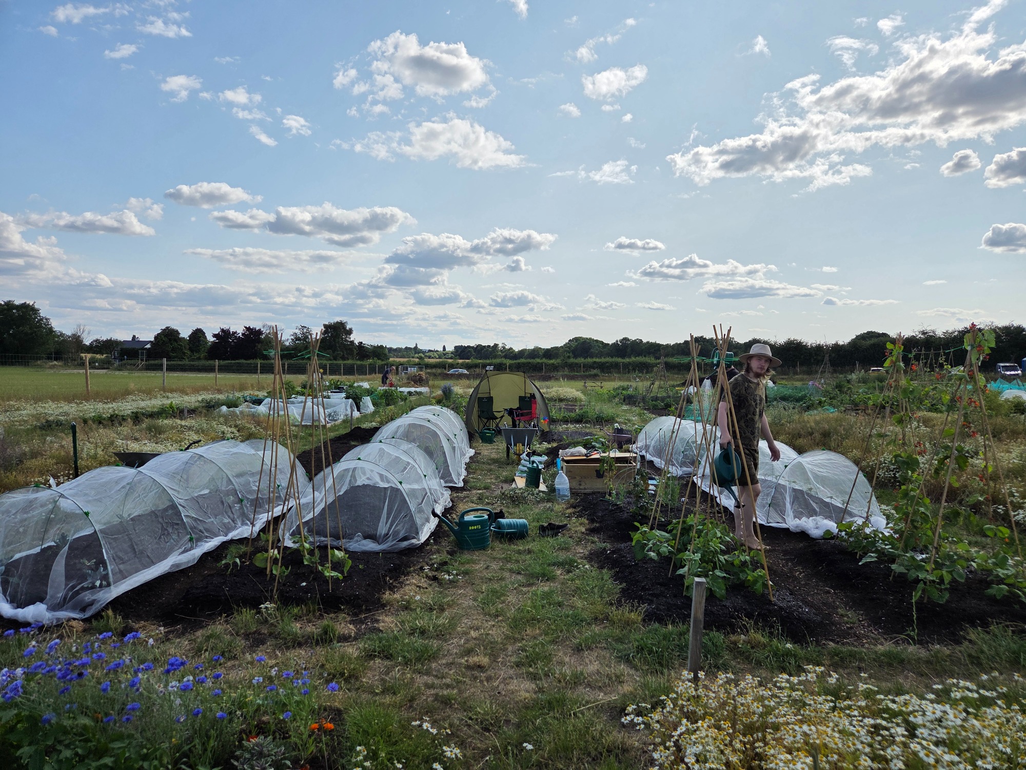 Vegetable garden with covered beds, plants, and blue sky with scattered clouds.