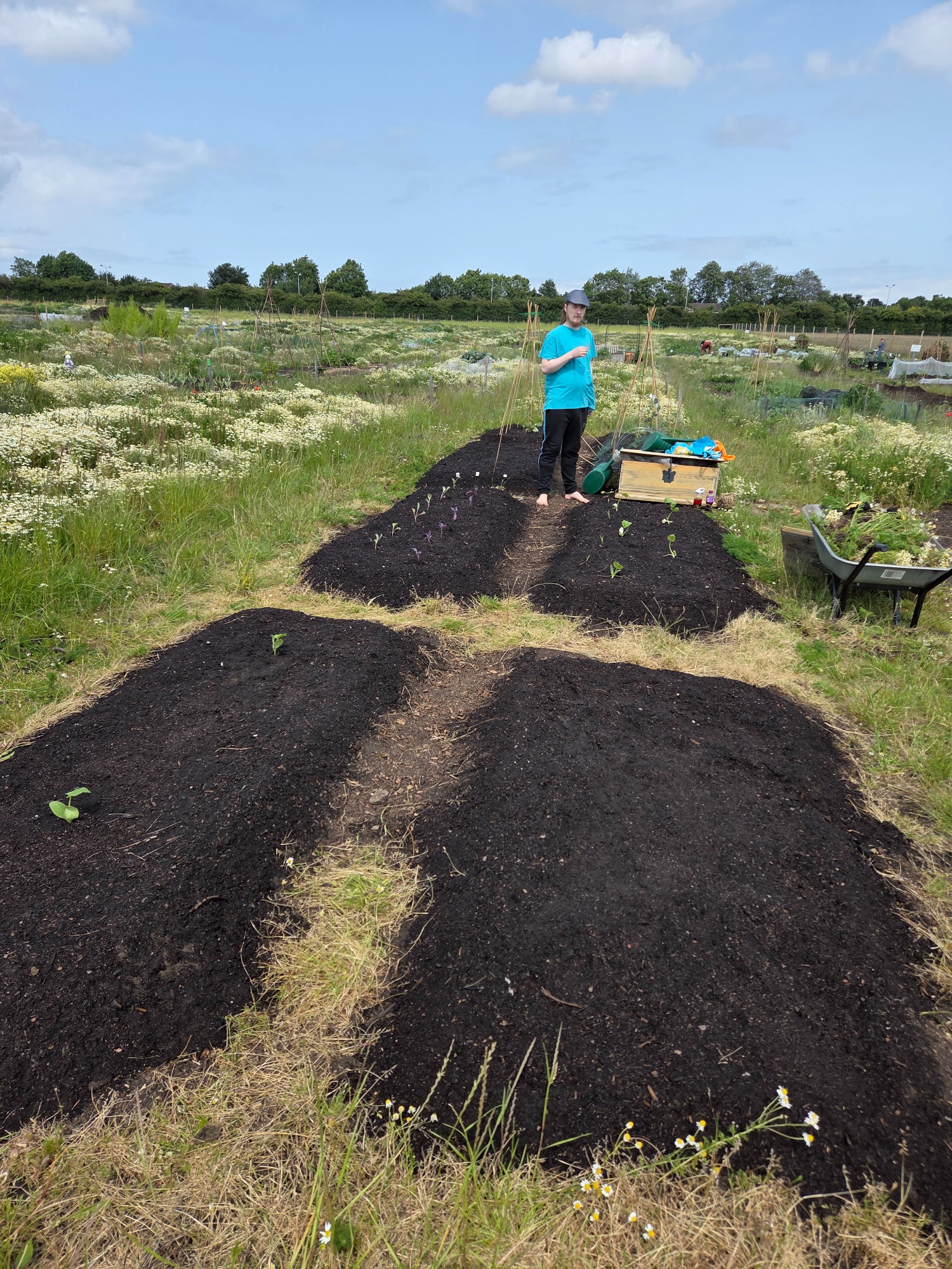 A person stands in a garden, surrounded by rows of freshly turned soil and greenery.