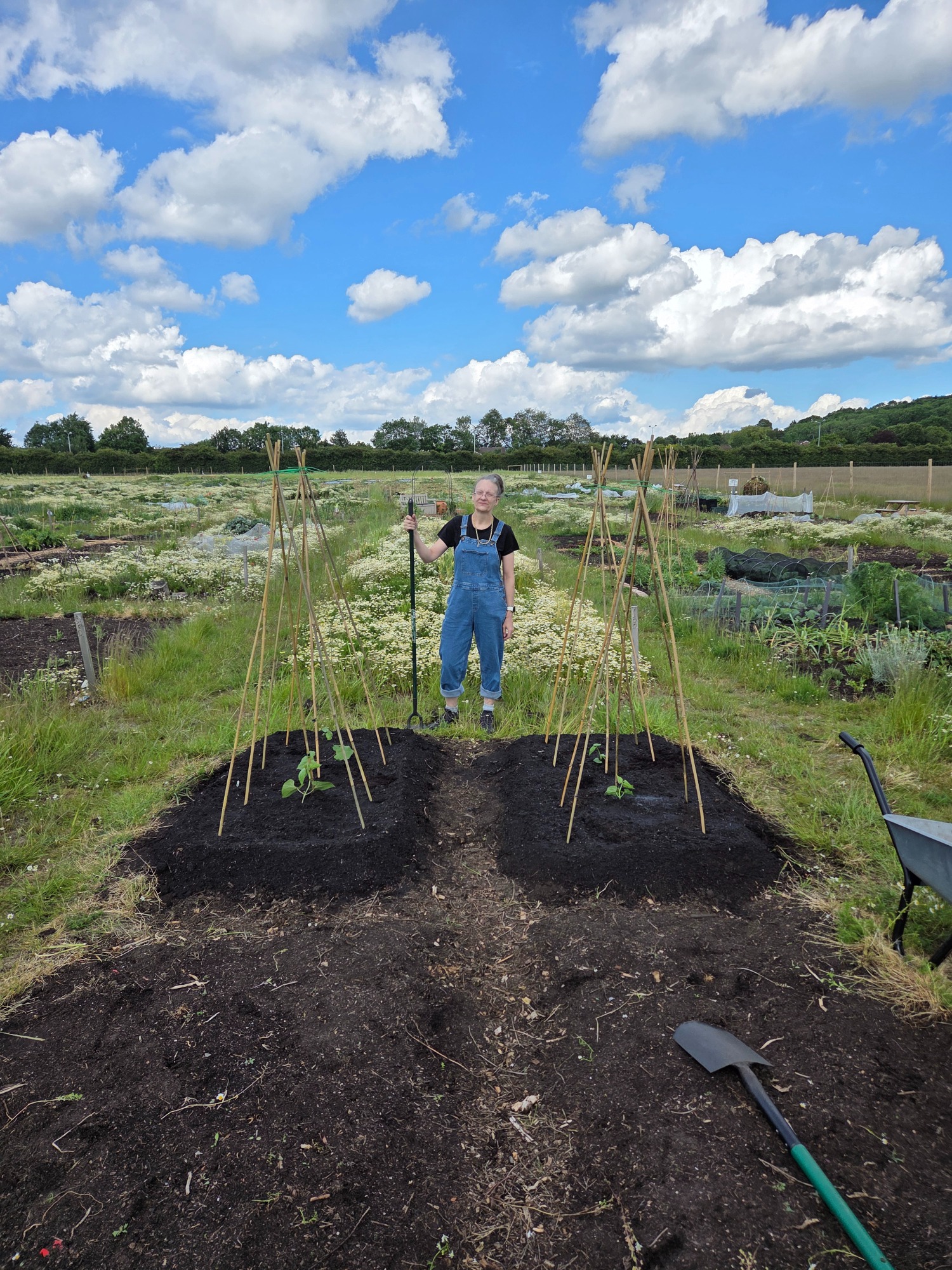 A person in overalls stands between rows of newly planted crops in a field.