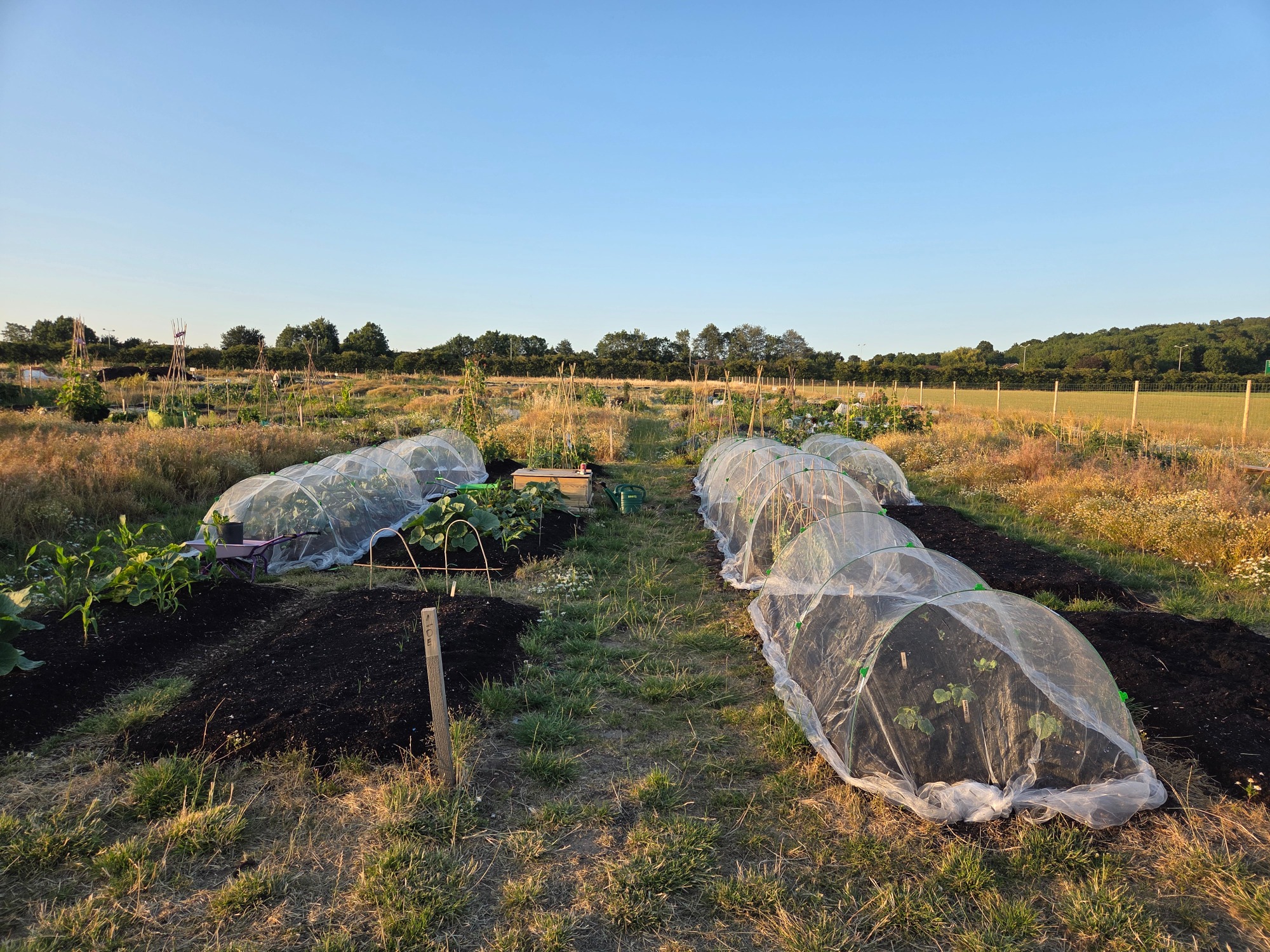 Vegetable garden with crop covers, surrounded by grassy fields and trees in the background.
