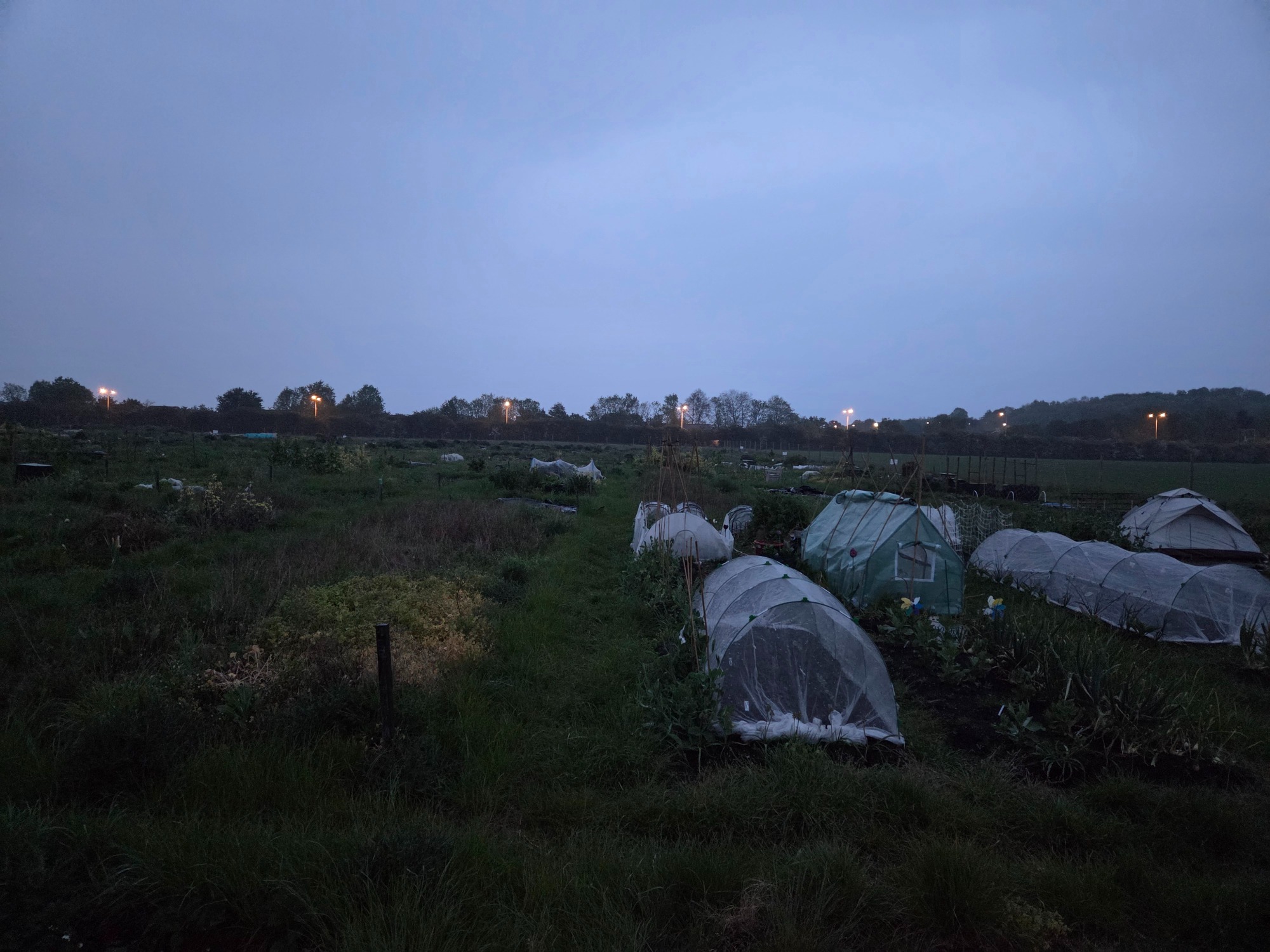 Directly adjacent to our plots Dark landscape with covered rows of plants and distant lights on the horizon.