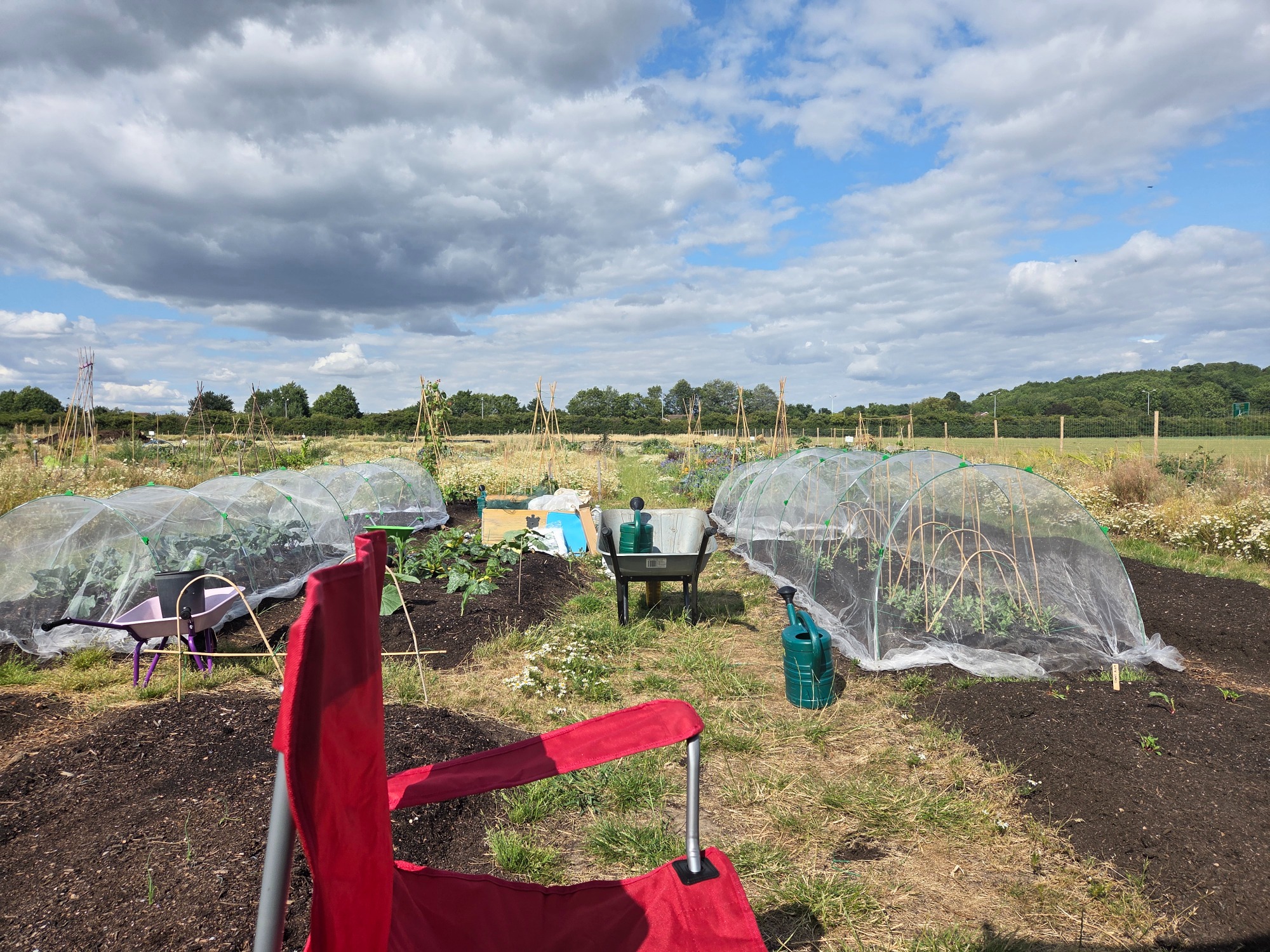 Garden plot with plant covers, chairs, and a wide sky in the background.