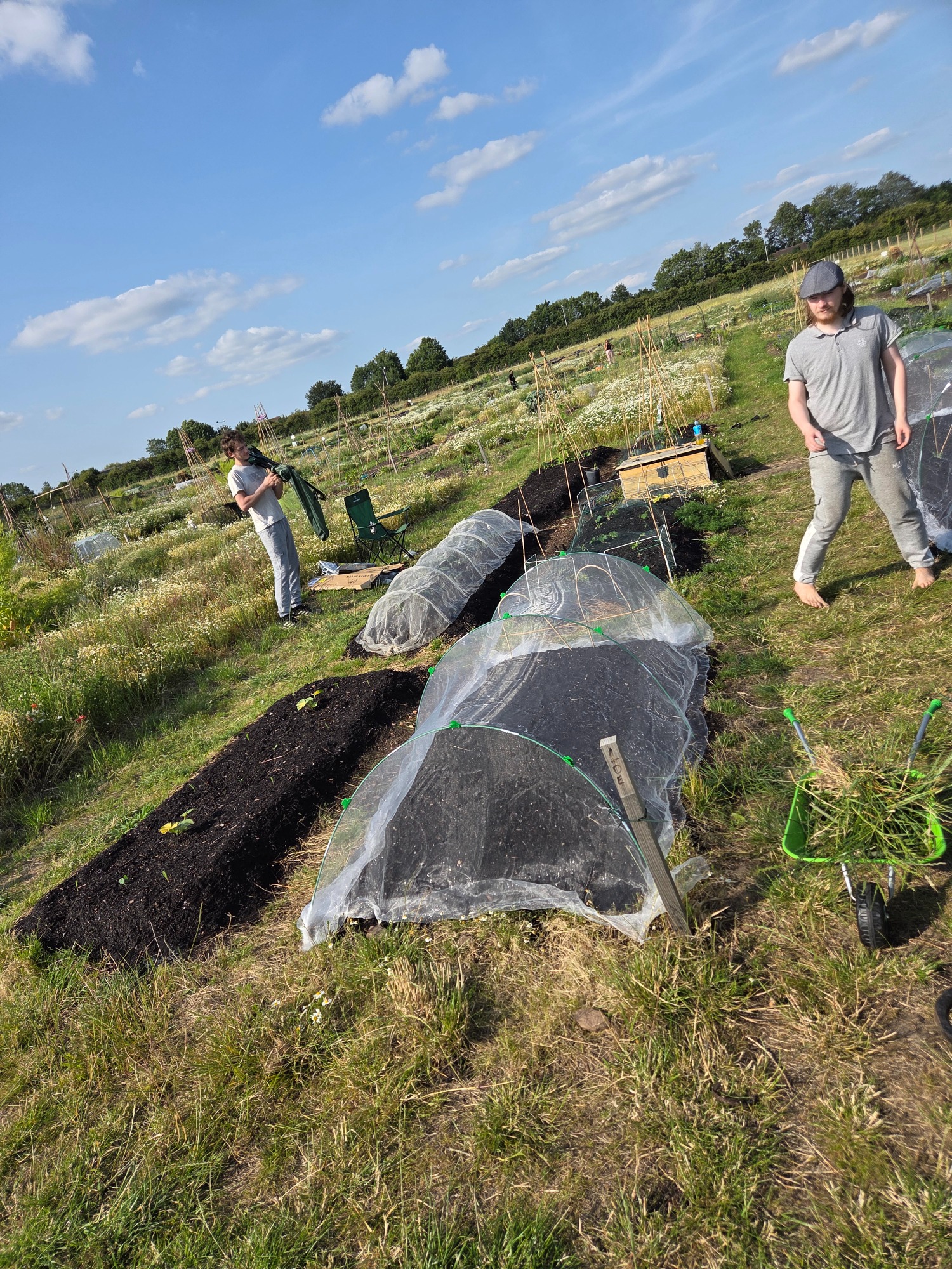 People working in a garden, tending to raised beds covered with protective sheeting.