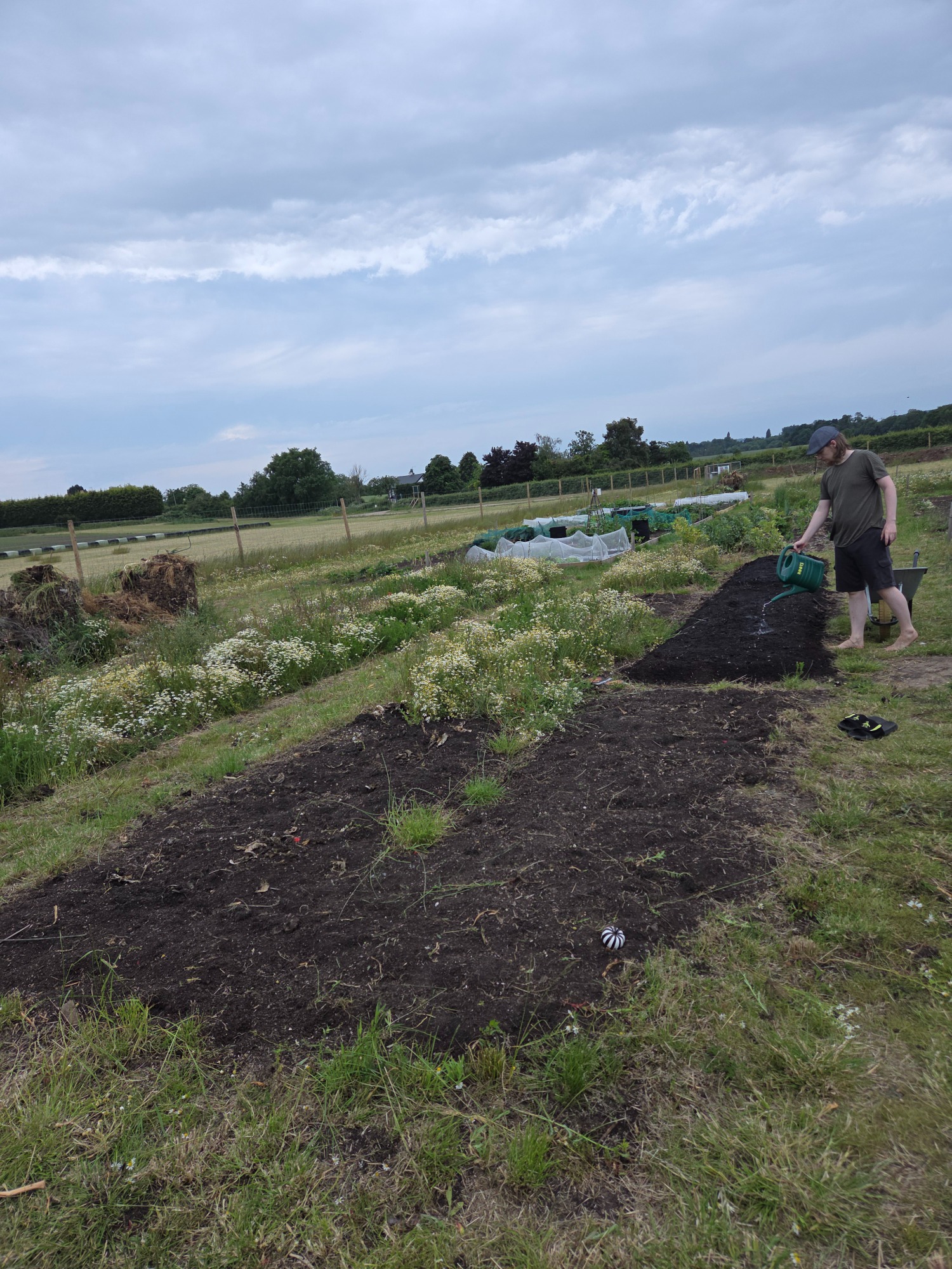 A person planting in a garden with a cloudy sky and fields in the background.