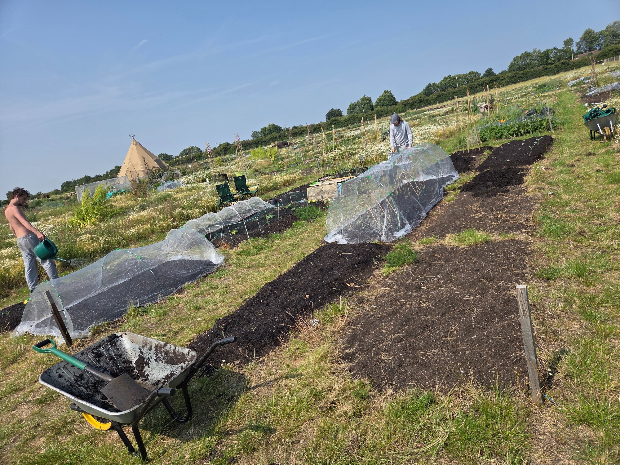 Community garden with gardening tools, soil beds, and people tending to plants.