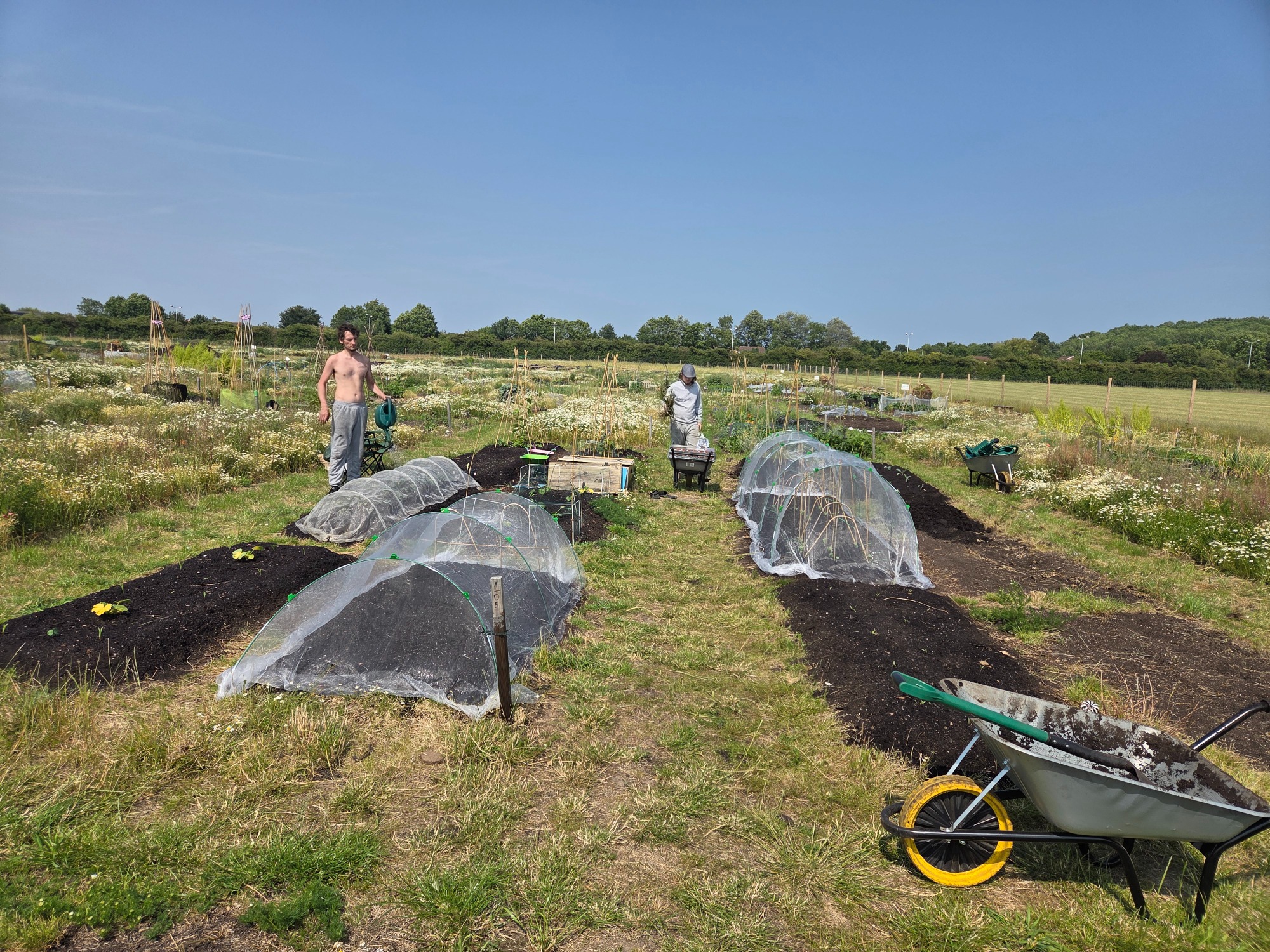 A sunny field with garden beds covered in protective nets, tools, and two workers.